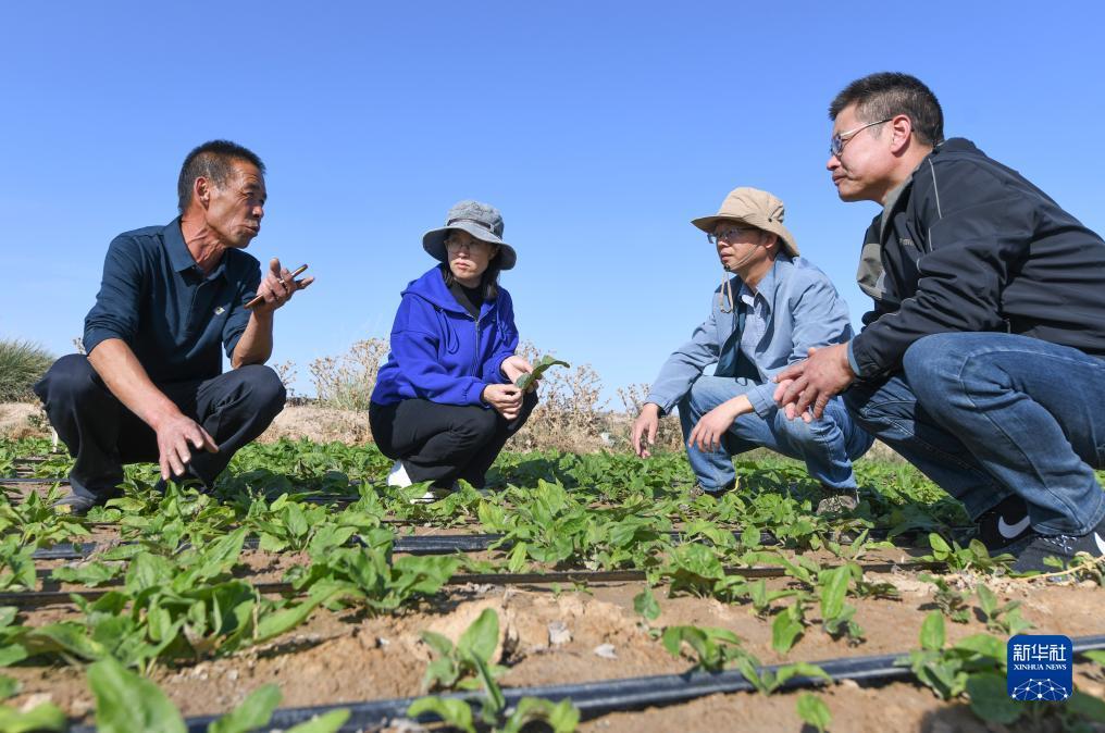 新濠天地登录网站